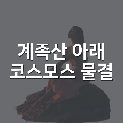 계족산 아래 코스모스 물결