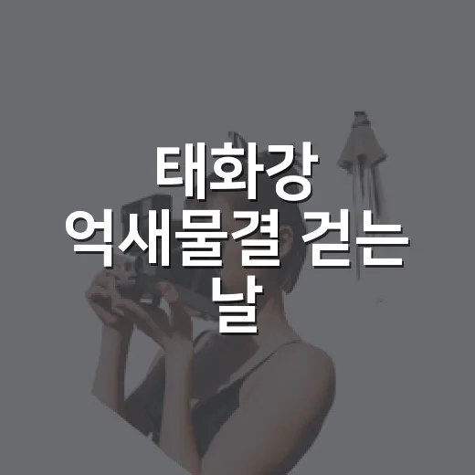 태화강 억새물결 걷는 날