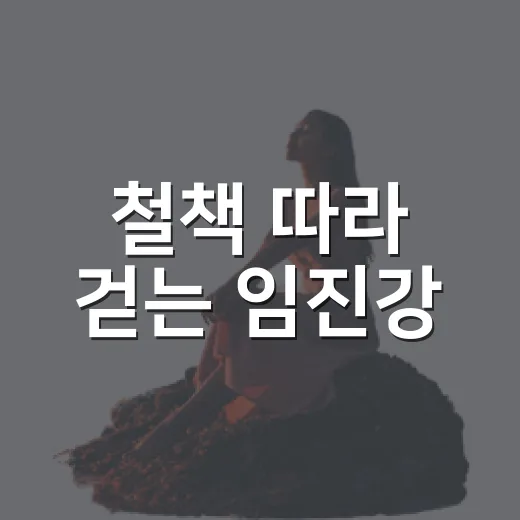 철책 따라 걷는 임진강