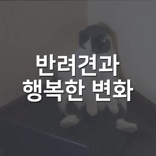 반려견과 행복한 변화