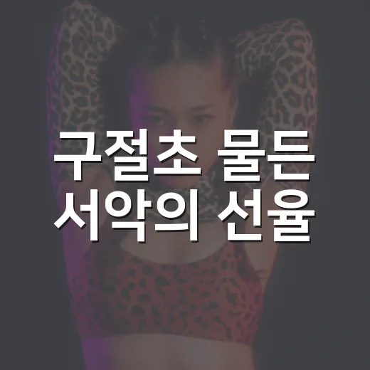 구절초 물든 서악의 선율