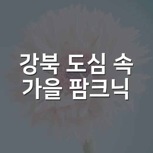 강북 도심 속 가을 팜크닉