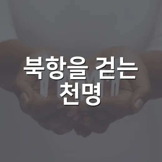 북항을 걷는 천명