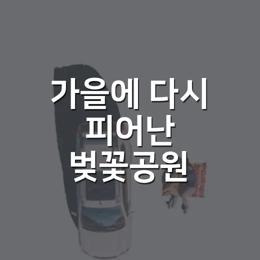 가을에 다시 피어난 벚꽃공원
