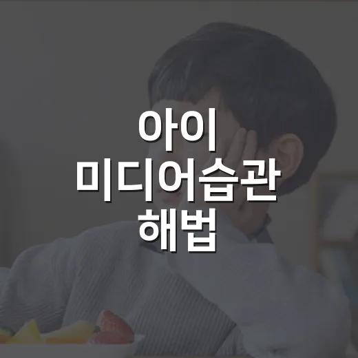 아이 미디어습관 해법