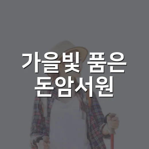 가을빛 품은 돈암서원