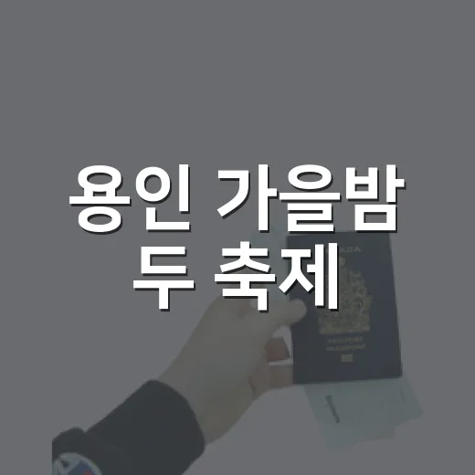용인 가을밤 두 축제