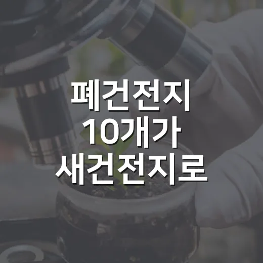 폐건전지 10개가 새건전지로