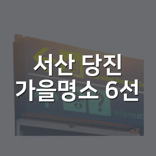 서산 당진 가을명소 6선