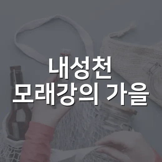 내성천 모래강의 가을