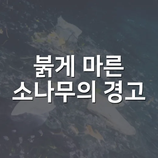 붉게 마른 소나무의 경고