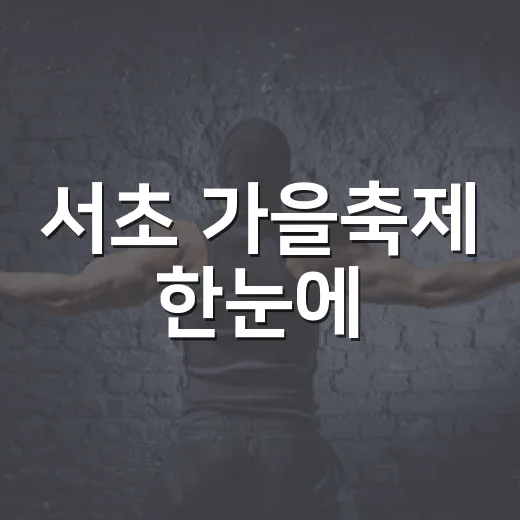 서초 가을축제 한눈에