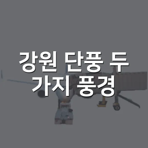 강원 단풍 두 가지 풍경