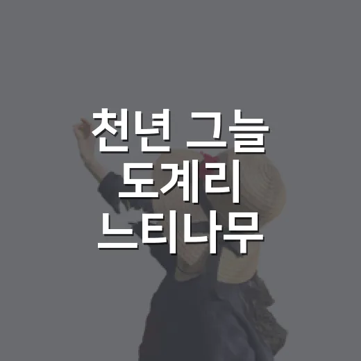 천년 그늘 도계리 느티나무