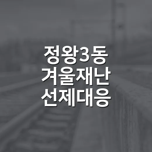 정왕3동 겨울재난 선제대응