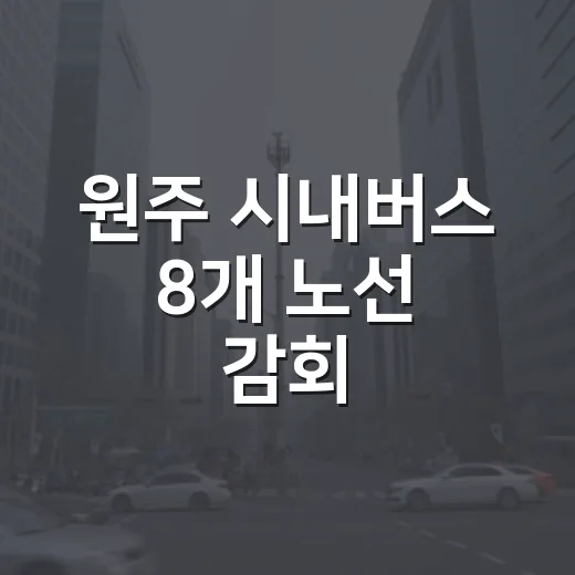 원주 시내버스 8개 노선 감회