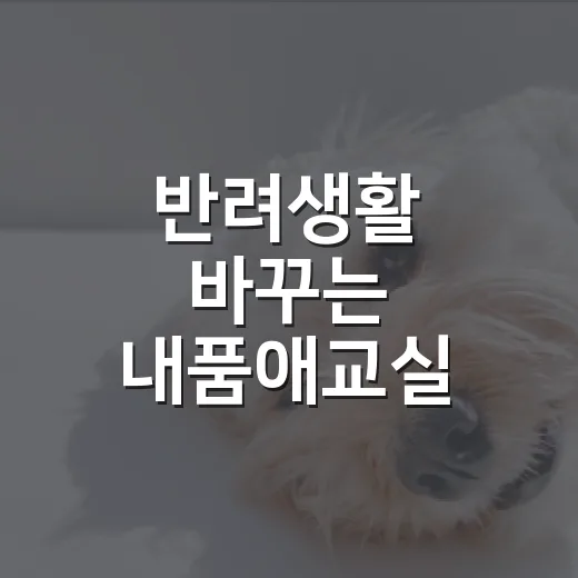 반려생활 바꾸는 내품애교실