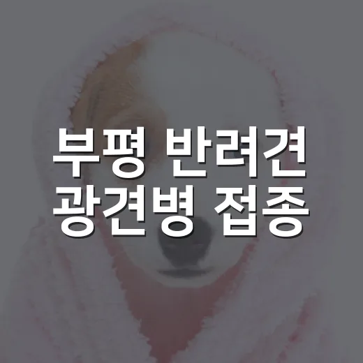 부평 반려견 광견병 접종