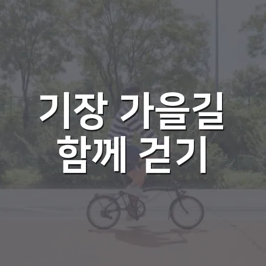기장 가을길 함께 걷기