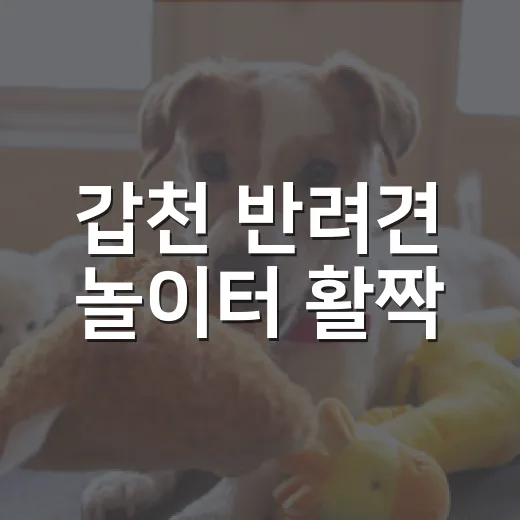 갑천 반려견 놀이터 활짝