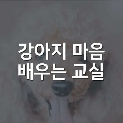 강아지 마음 배우는 교실
