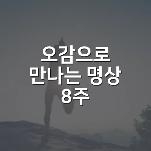 오감으로 만나는 명상 8주