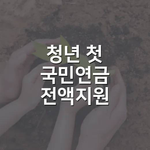 청년 첫 국민연금 전액지원