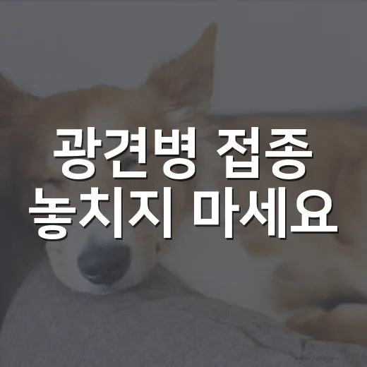 광견병 접종 놓치지 마세요