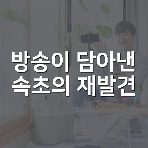 방송이 담아낸 속초의 재발견