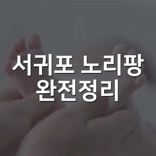 서귀포 노리팡 완전정리