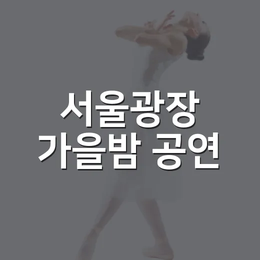 서울광장 가을밤 공연