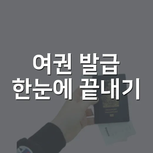 여권 발급 한눈에 끝내기