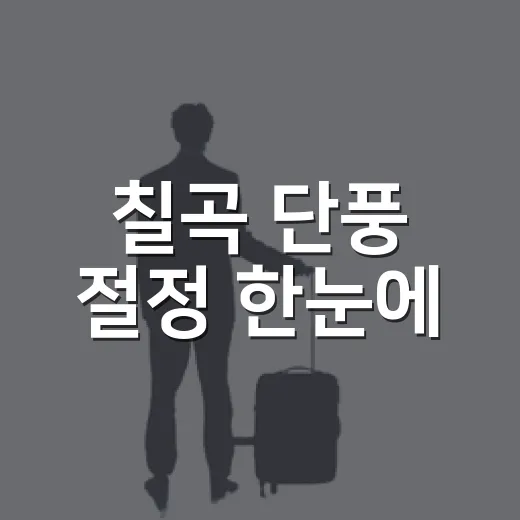 칠곡 단풍 절정 한눈에