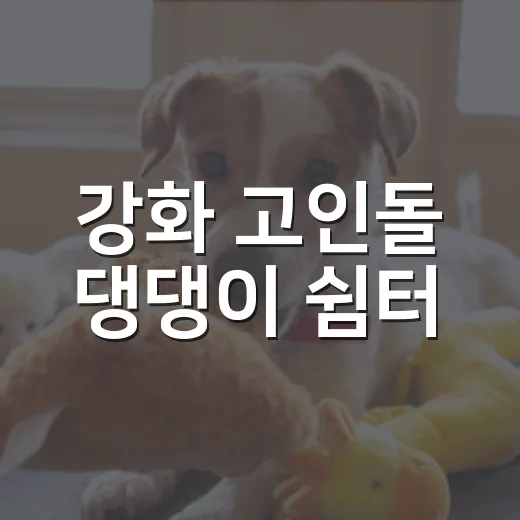 강화 고인돌 댕댕이 쉼터