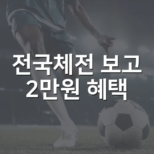 전국체전 보고 2만원 혜택