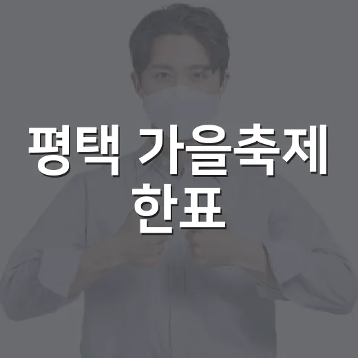 평택 가을축제 한표
