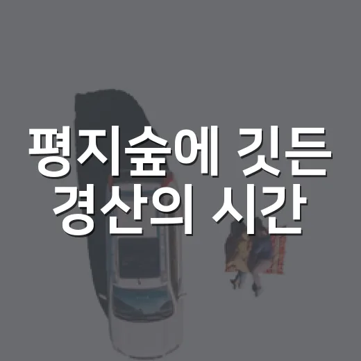 평지숲에 깃든 경산의 시간