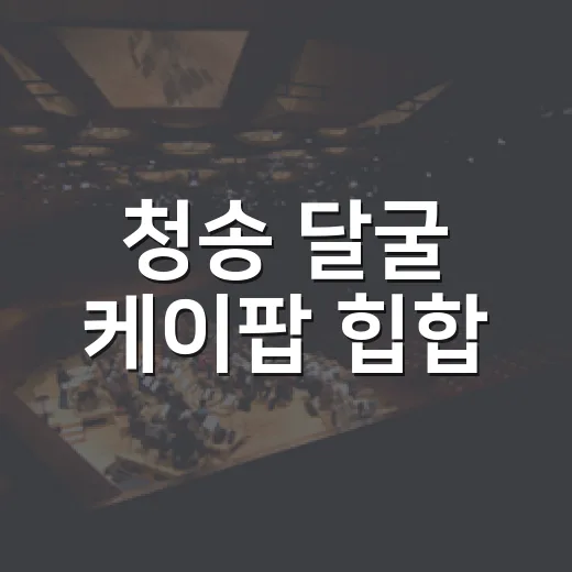 청송 달굴 케이팝 힙합