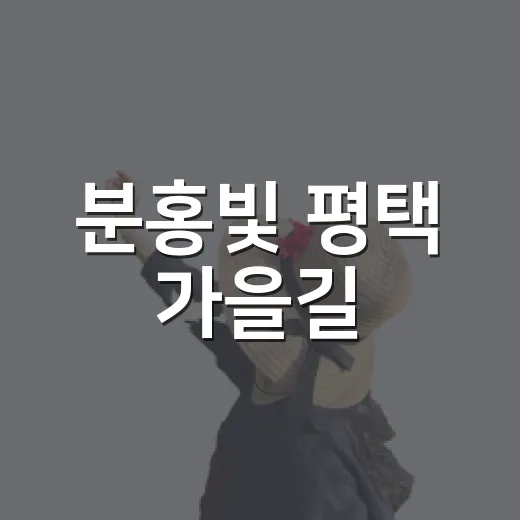 분홍빛 평택 가을길