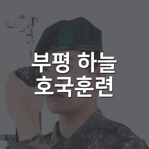 부평 하늘 호국훈련