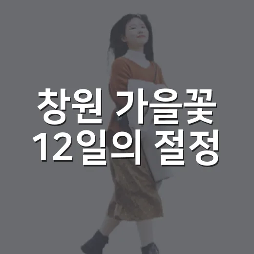 창원 가을꽃 12일의 절정
