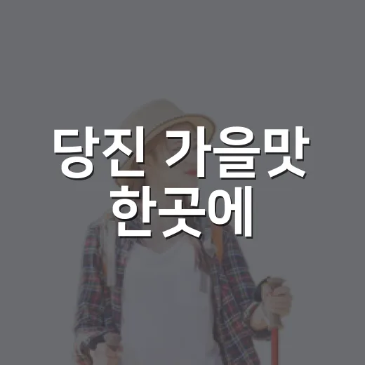 당진 가을맛 한곳에