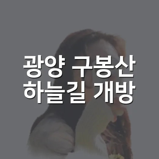 광양 구봉산 하늘길 개방