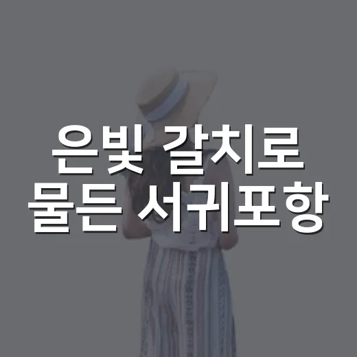 은빛 갈치로 물든 서귀포항