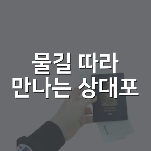 물길 따라 만나는 상대포