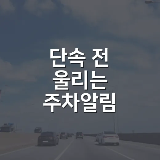 단속 전 울리는 주차알림
