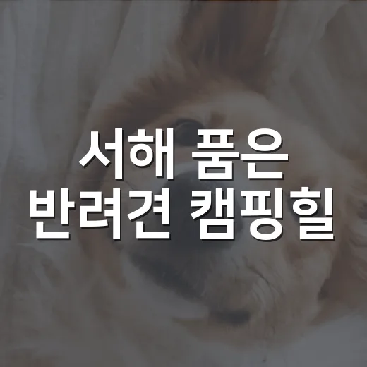 서해 품은 반려견 캠핑힐