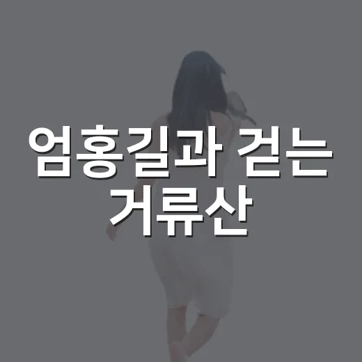 엄홍길과 걷는 거류산