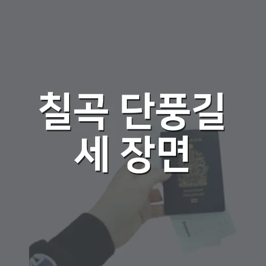 칠곡 단풍길 세 장면