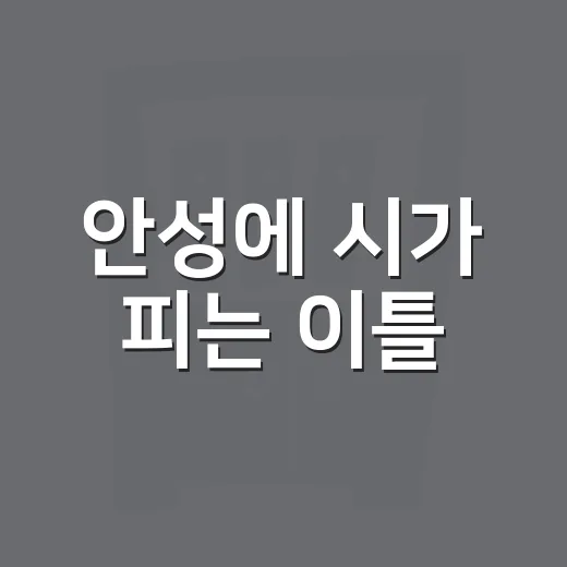 안성에 시가 피는 이틀